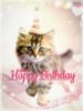 Have A Happy Birthday -- Cute Kitten