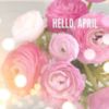 Hello, April -- Flowers