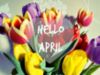 Hello April -- Flowers