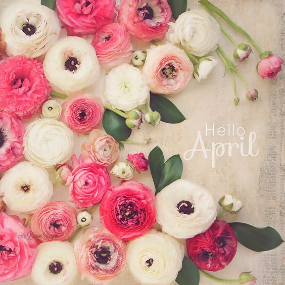 Hello April -- Flowers