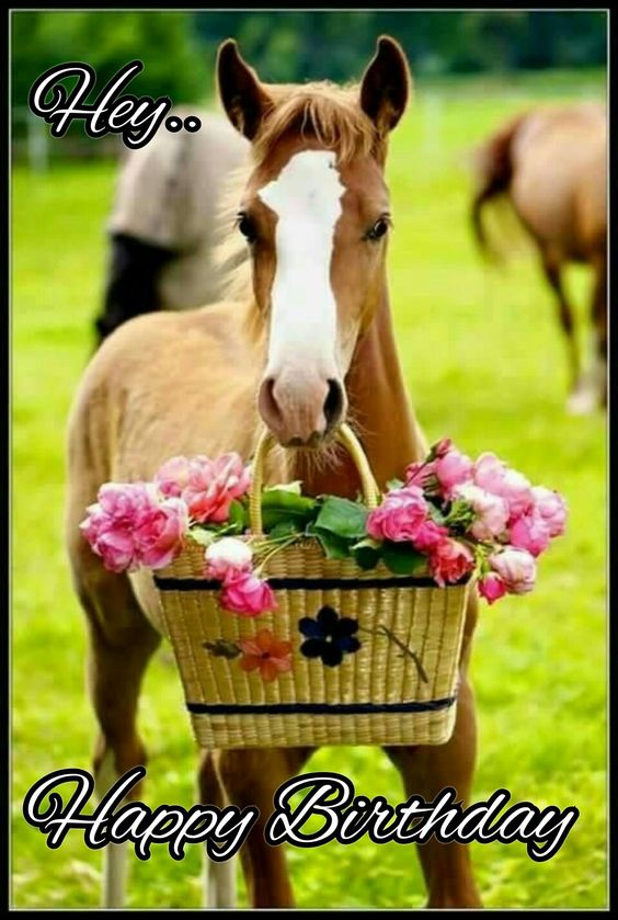 Happy Birthday -- Horse with Flowers