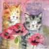 Happy Birthday -- Cats with Flowers
