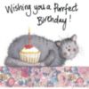 Wishing you a Purrfect Birthday! -- Cat