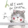 All I Want For Christmas Is You -- Christmas Cat Love