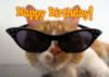 Happy Birthday! -- Cool Cat 