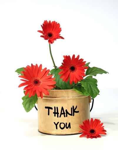 Thank You -- Red Flowers