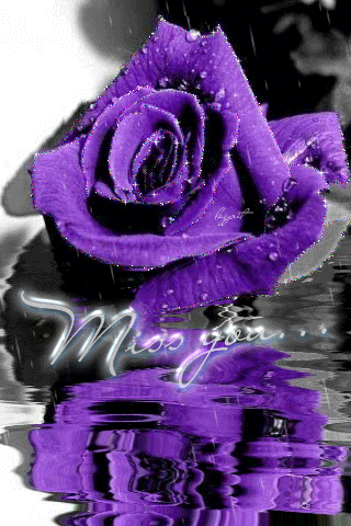Miss you... -- Purple Rose