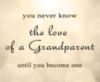 You never know the love of a Grandparent until you become one
