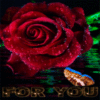 For You -- Red Rose