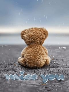Miss You -- Teddy Bear