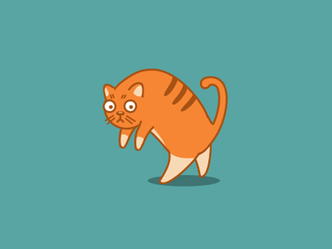 Animated Cat