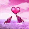 Love Heart Pink Dolphins