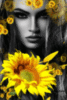 Beautiful Girl and Sunflowers