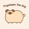Pugsheen the dog
