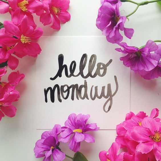 Hello Monday -- Flowers