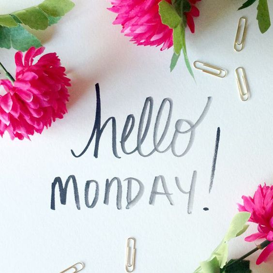 Hello Monday! -- Flowers