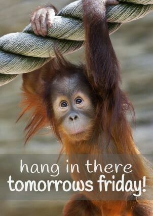 Hang In There Tomorrows Friday!