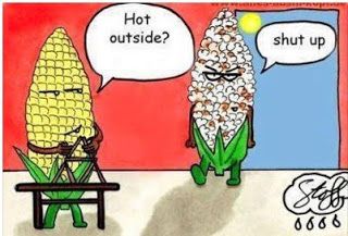 Hot Summer Humor