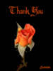 Thank You -- Flower