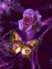 Purple Rose and Butterfly