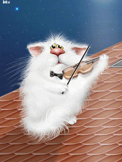 White Fluffy Cat plays violin