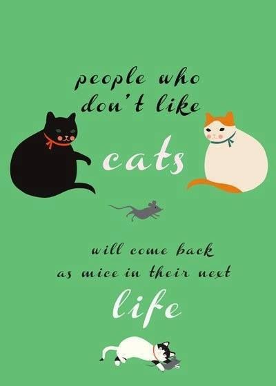 People who don't like cats will come back as mice in their next life.