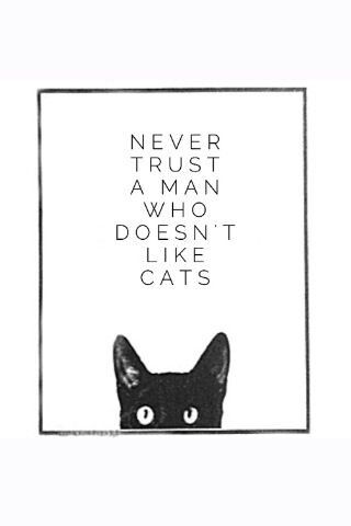 Never trust a man who doesn't like cats.