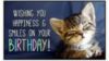 Happy Birthday! -- Kittens Wishes 