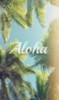 Aloha -- Summer