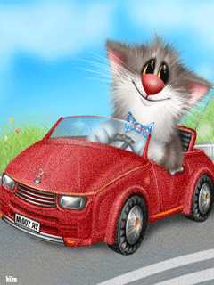 Cute Cat in Red Car