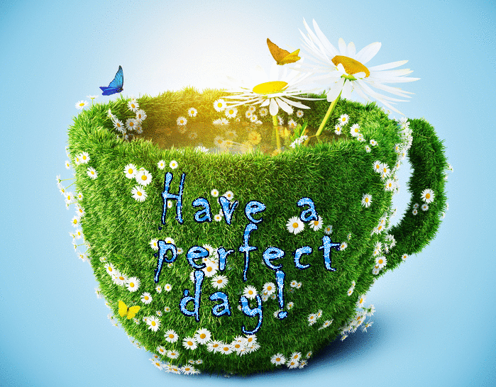 Have a perfect day!