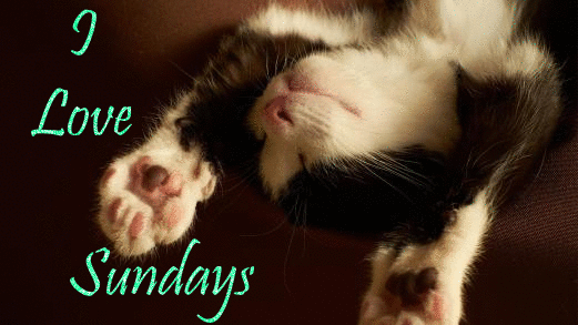 I Love Sundays -- Cute Cat