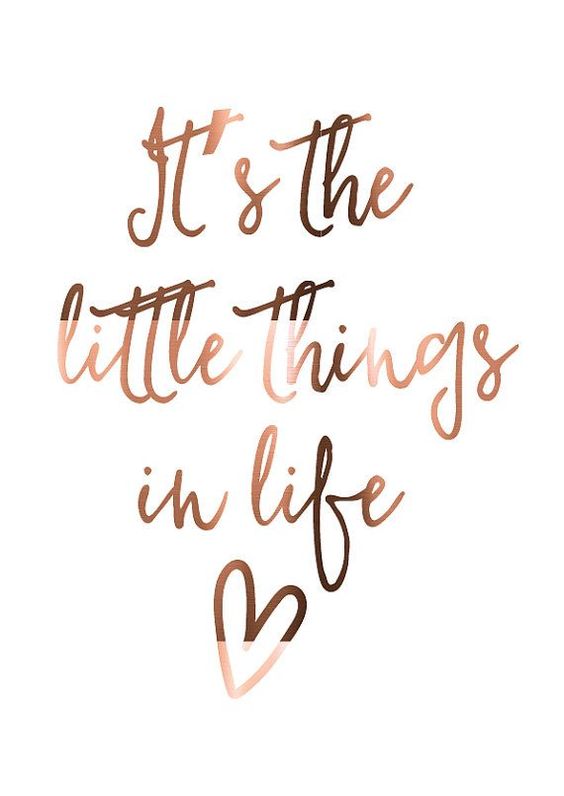 it-s-the-little-things-in-life-quotes-myniceprofile