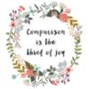 Comparison is the thief of joy