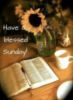 Have a blessed Sunday! -- Flowers