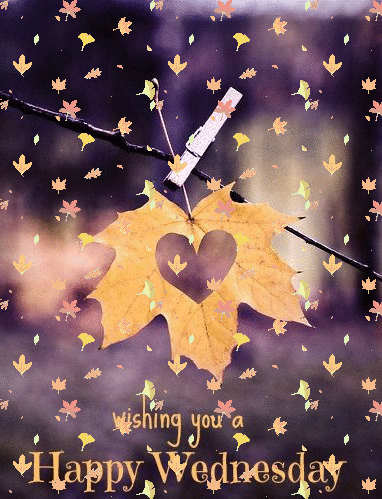 Wishing you a happy Wednesday -- Fall