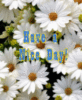 Have a Nice Day! -- White Flowers