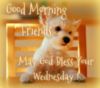 Good Morning Friends! May God bless your Wednesday! -- Cute Puppy