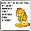 The bright side of Monday... Garfield Funny Quote