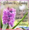 Welcome to Monday -- Flowers