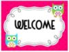 Welcome -- Owls