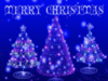 Merry Christmas -- Christmas Trees