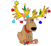 Merry Christmas -- Funny deer