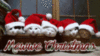 Merry Christmas -- Santa Cats :)
