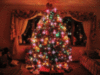 Merry Christmas -- Christmas Tree