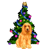 Merry Christmas -- Dog under the Christmas Tree