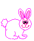 Funny Bunny