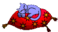 Blue Cat sleeps