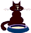 Black cat with milk