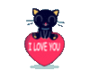 I Love You -- Black Kitten